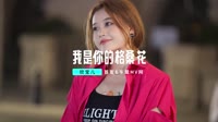 【免费下载】我是你的格桑花(DjDa牛 ProgHouse Mix国语女)车载好看视频DJ