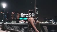 【免费下载】云南三怪(Cover孙楠) - 留什么给你 (DJR7 车载版)