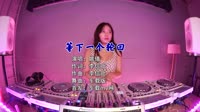 【免费下载】等下一个轮回 (DJ版)车载mv1080免费视频下载