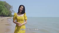 【免费下载】漂泊的人 (烟嗓版)(DJ默涵版)车载DjMV视频