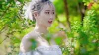 【免费下载】伤心1999(Dj光头 FunkyHouse Mix国语女)咚鼓车载DJ舞曲视频