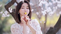 【免费下载】美丽女人(Dj光头 FunkyHouse Mix国语男)车载mp4视频音乐下载网站