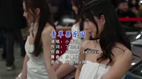 【免费下载】青苹果乐园(Dj小豪 ProgHouse Mix国语男)超清dj舞曲视频车载视频