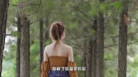 【免费下载】是我会错意 (DJ京仔版)