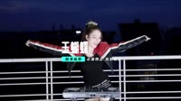 【VIP高速下载】锋哥 - 玉蝴蝶(Joe Electro Mix粤语男)