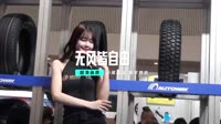 车载dj音乐mv-王一佳-有风无风皆自由 (DJ版)
