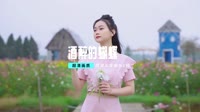 【不改音响.提升音质】酒醉的蝴蝶 DjElectroHouse