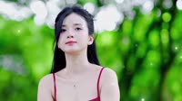 【不改音响.提升音质】搀扶(Dj小安 FunkyHouse Mix国语合唱)咚鼓1080p