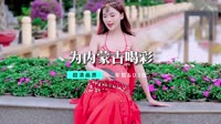 DJ - 为内蒙古喝彩【柏林Music】1080