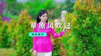 DJ - 草原风吹过【柏林Music】1080