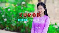 DJ - 又见格桑花【柏林Music】1080