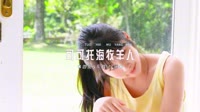 385--可可托海牧羊人 Y鼓 Edit打碟版车载u盘视频下载网站