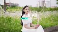 车载MV舞曲(DJ车载版 Mix)人间总有一两风 DJHouse打碟版