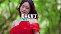 058--如果寂寞了-DJ车载音乐团队音乐MV视频