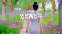 0197--凌晨两点半-DJ锦先森车载音乐团队车载MVDJ