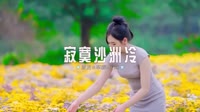 0198--寂寞沙洲冷-DJ锦先森车载音乐团队