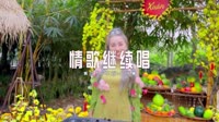 099--情歌继续唱-DJ车载音乐团队