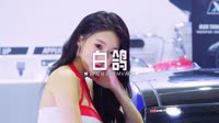 0130--白鸽-DJ车载音乐团队车载视频歌曲