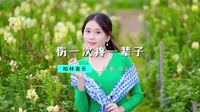 DJ - 泽宁 - 伤一次疼一辈子 (DJ版)【柏林Music】1080