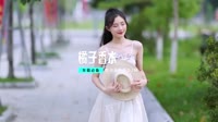 dj舞曲视频大全(DJ车载版 Mix)橘子香水 DJHouse音乐