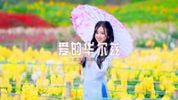 0181--爱的华尔兹-DJ阿帆车载音乐团队车载MVDJ