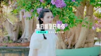 dj舞曲mv车载视频下载(DJ车载版 Mix)我的眼里只有你 (弹鼓) DJHouse团队出品