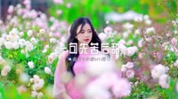 0140--一句先苦后甜 -DJ车载音乐团队车载mtv视频下载