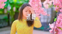 056--遗憾-DJ车载音乐团队车载mv视频歌曲大全