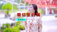 DJ舞曲 - 微信惹的祸【柏林Music】1080