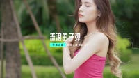 最新dj网站mv(DJ车载版 Mix)流浪的子弹 DJHouse打碟版