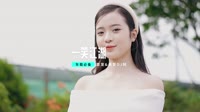 (DJ车载版 Mix)一笑江湖 DJHouse音乐
