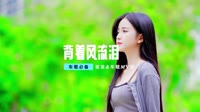 汽车dj舞曲MV-文夫 -  背着风流泪(信宜Dj小叶 ProgHouse Mix国语男)聚濠内部专用