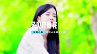 DJ - 又见格桑花【柏林Music】