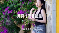 0524--月亮代表我的心 DJ.House团队视频mv