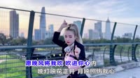 106--晚风心里吹 DJHouse音乐DJ版MV视频