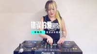 DJ -  萍姐-错误的爱 (cover： 天后)【柏林Music】