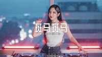0523--斑马斑马 DJ.House团队