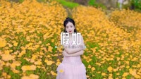 新歌MV视频 0535--假如 DJ.House团队