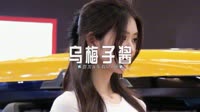 车载dj高清mv-0452--乌梅子酱-Dj东东车载音乐团队