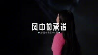 1080P高清DJ舞曲视频-0465--风中的承诺-Dj方杰车载音乐团队