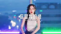 DJ视频网站-0455--遇上你是我的缘-Dj馒头车载音乐团队