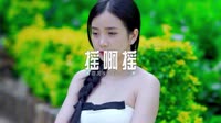 0422--摇啊摇-Dj海文车载音乐团队