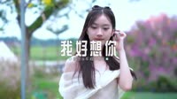 0385--我好想你--Dj阿智车载音乐团队车载舞曲mp4下载网站