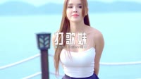 MTV视频歌曲免费下载-021--打歌妹--Dj阿帆车载音乐团队