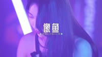 车载u盘dj视频-328--像鱼 DJFK鼓