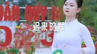 0365--迟来的爱--Dj子阳车载音乐团队