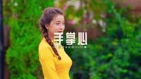 0241--手掌心-DjAw车载音乐团队车载DJ舞曲视频