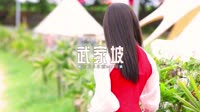 0234--武家坡-Dj阿亮车载音乐团队高清视频车载音乐