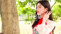 0209--离别开出花-DJHong车载音乐团队