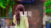 0242--微腾花-DjAw车载音乐团队热门DJ音乐车载舞曲